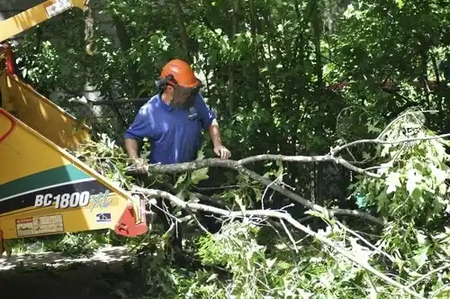 tree services Gideon